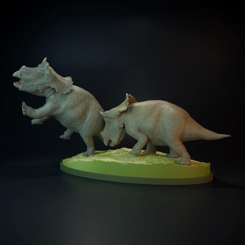 Triceratops babies playing - Only-Games