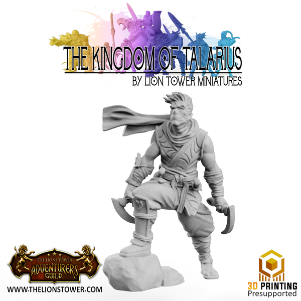 Kingdom of Talarius - Kotaro, Assassin - Only-Games