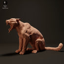 Jaguar Yawn 1/43 - Only-Games