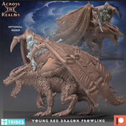Young Red Dragon Prowling - Only-Games