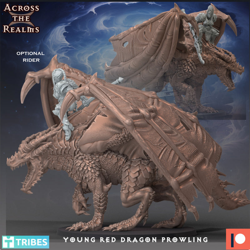 Young Red Dragon Prowling - Only-Games