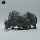 Himalayan Wild Yak Grazing - Only-Games