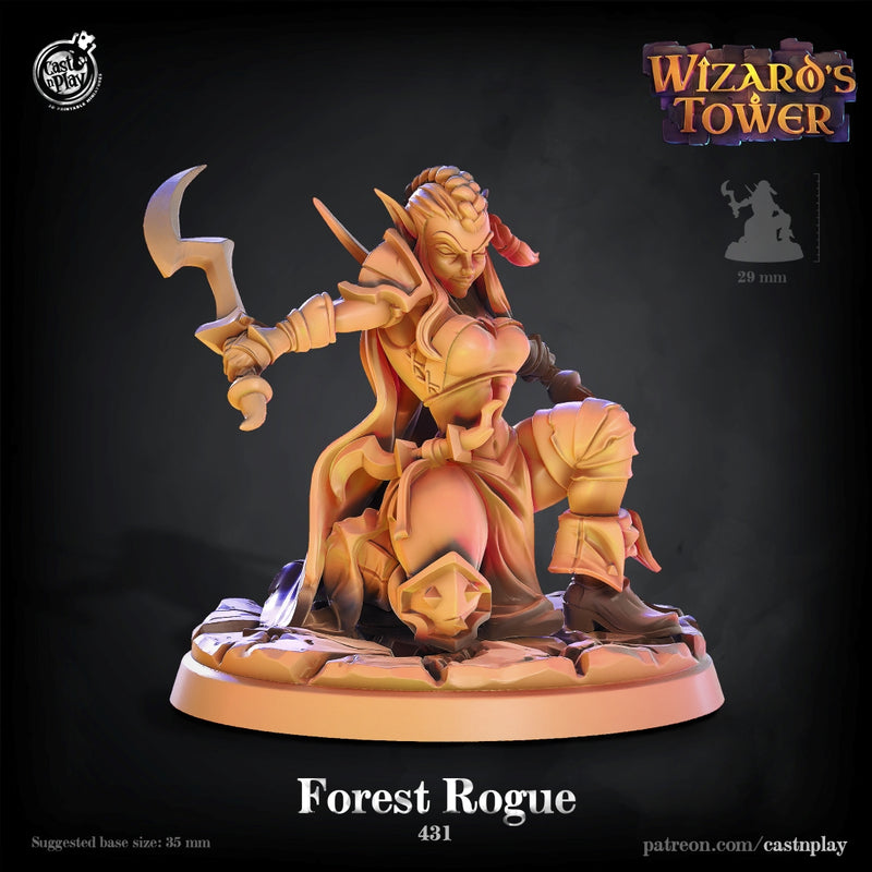 Forest Rogue - Only-Games