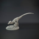 Velociraptor pack 1/20 scale - dinosaur - Only-Games