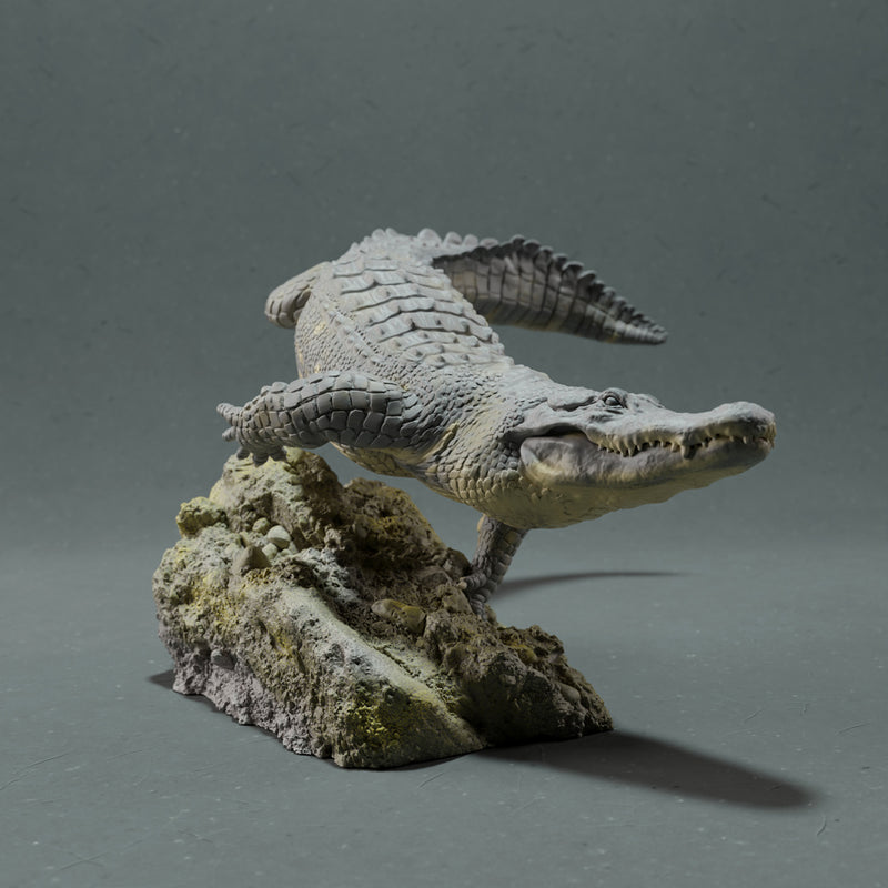 American Alligator - Swim - Only-Games