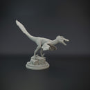 Velociraptor pack 1/20 scale - dinosaur - Only-Games