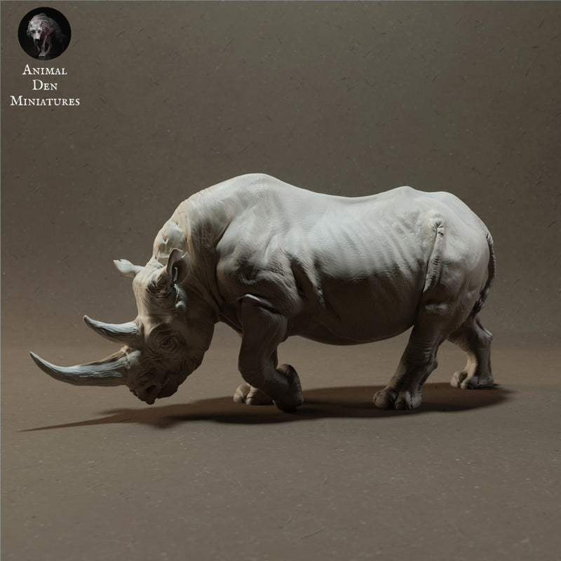 Black Rhino 1/43 - Only-Games