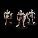 SkeleToon - Only-Games