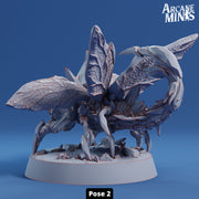 Vitrunid Adult - Only-Games