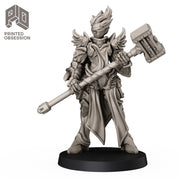 Vale - High Paladin - Only-Games