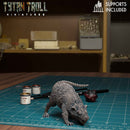 Giant Rat Bundle - TytanTroll Miniatures - DnD - Fantasy - Only-Games