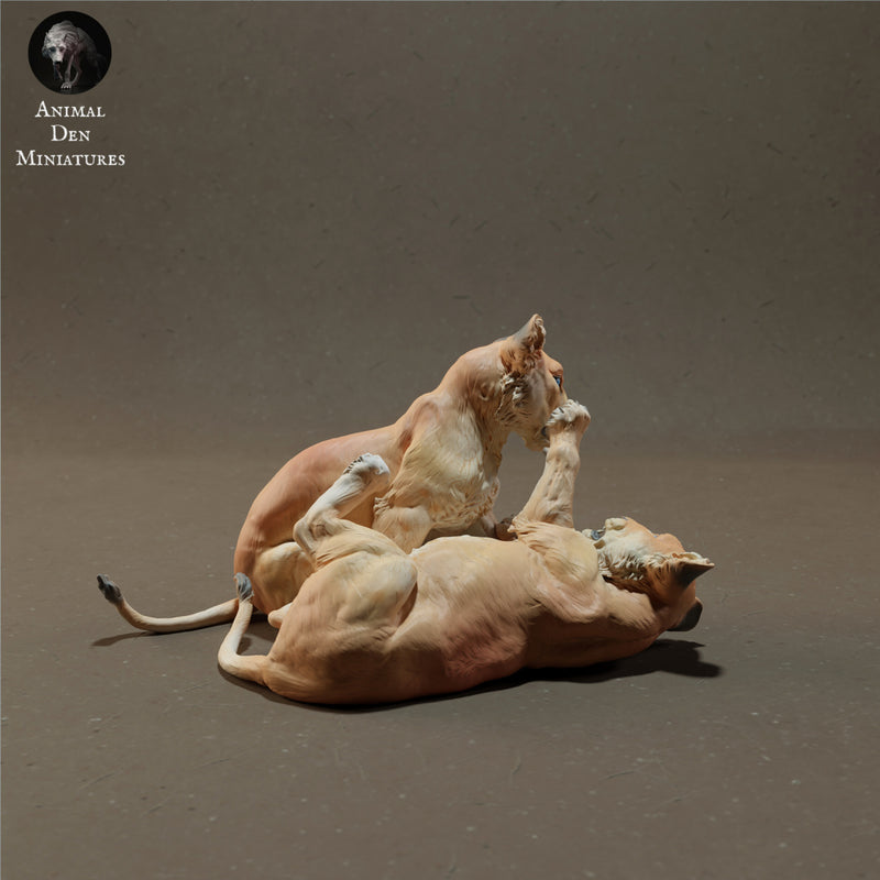 Lion Cubs Playing 1/43 - Only-Games