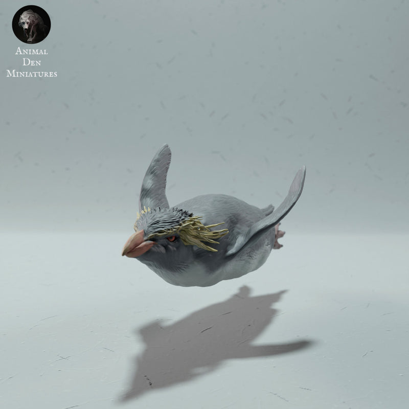 Rockhopper Penguin Swimming - Only-Games