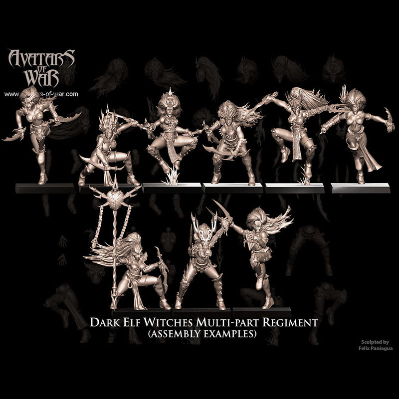 Dark Elf Witches multi-part regiment (20 miniatures) - Only-Games