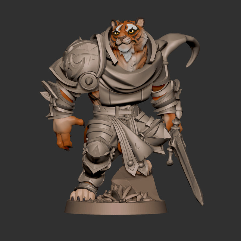 Tabaxi Paladin - Only-Games