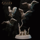 Owls Bundle - Only-Games