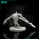 (0034) Male wild Troll with club and axe - Only-Games