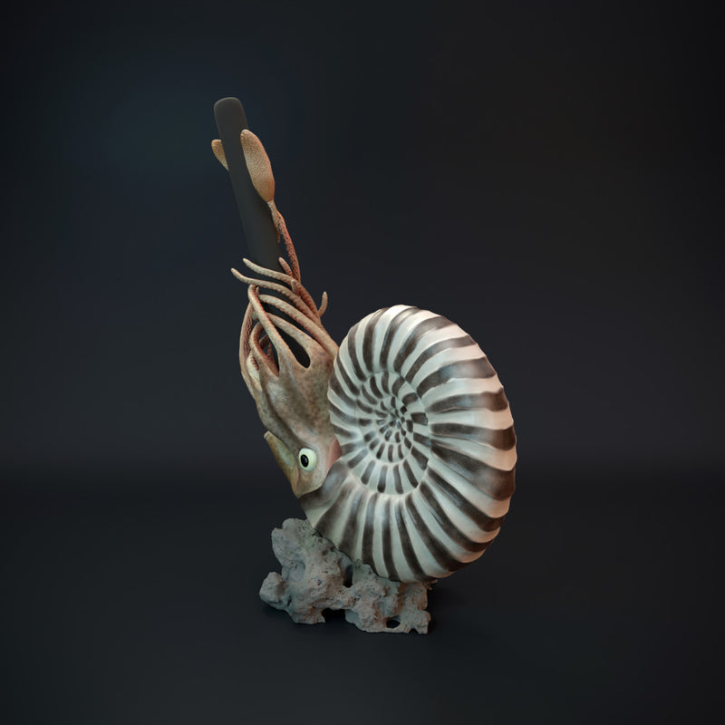 Ammonite pen holder - pre supported - Only-Games