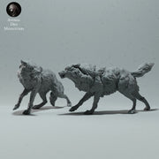 Arctic Wolves Fighting - Only-Games