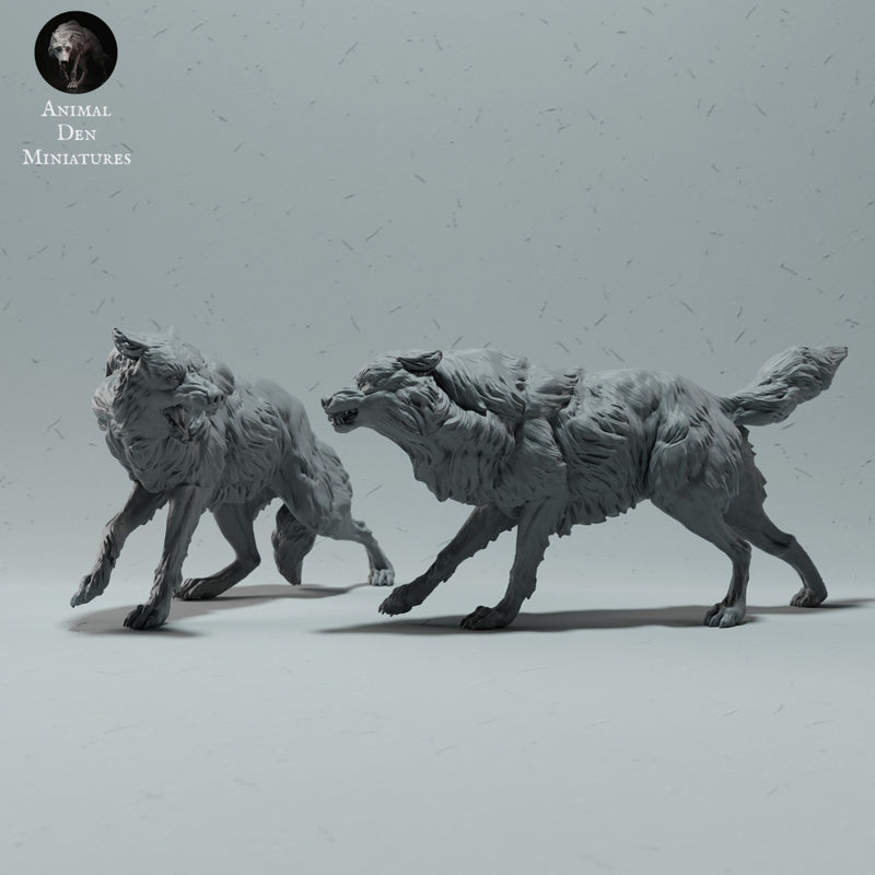 Arctic Wolves Fighting - Only-Games