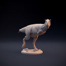 Carnotaurus walking - dinosaur carnivore - Only-Games