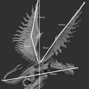 Inconcel Dragon (Pose 2 of 2) - Only-Games