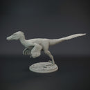 Velociraptor pack 1/20 scale - dinosaur - Only-Games