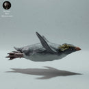 Rockhopper Penguin Swimming - Only-Games