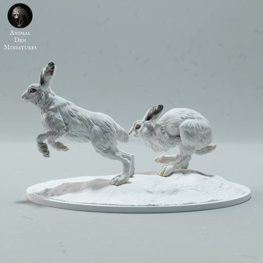 Arctic Hares Run 1/45 - Only-Games