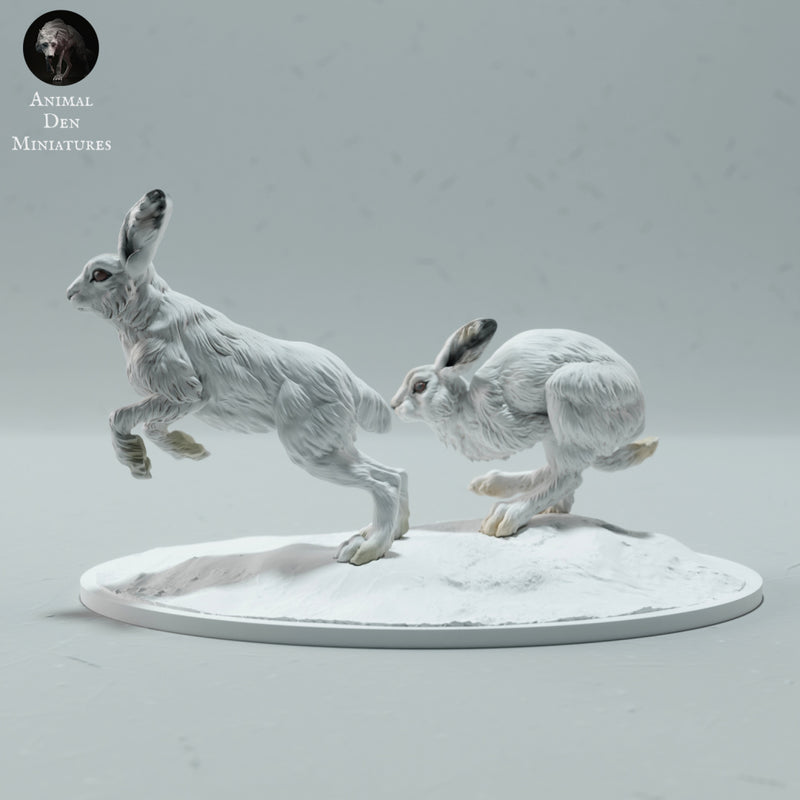 Arctic Hares Run 1/45 - Only-Games