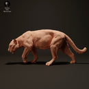 Jaguar 1/43 - Only-Games