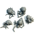 Dead Spiders (Harvest of War) - Only-Games