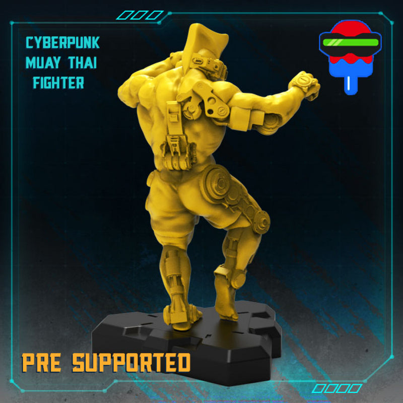 CYBERPUNK MUAY THAI FIGHTER - Only-Games