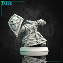 (0158) Male dwarf warrior with a shield and an arm-blade - Only-Games