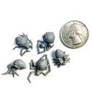 Dead Spiders (Harvest of War) - Only-Games