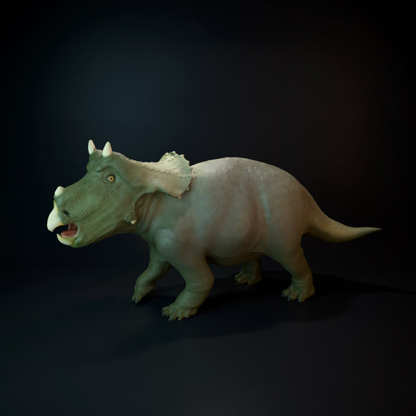 Triceratops baby dinosaur - Only-Games