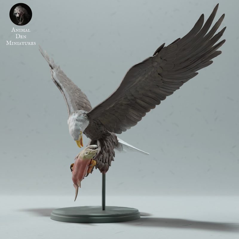 Bald Eagle Eating Salmon - Only-Games