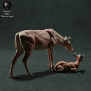 Red Deer Hind and Fawn 1:32 - Only-Games