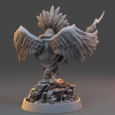 Derment of the Black Clouds - The Skyborn of Aquila - Only-Games